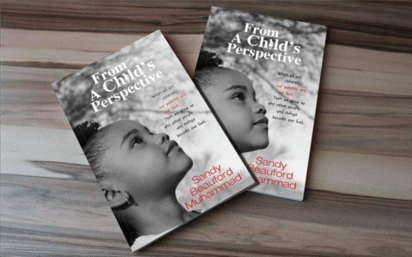From A Child's Perspective PRE-ORDER