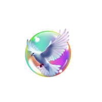 Soul Wisdom International